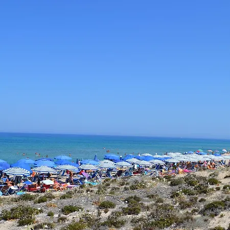 Mimose Village فندق باديسي