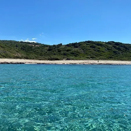 Mimose Village 4*