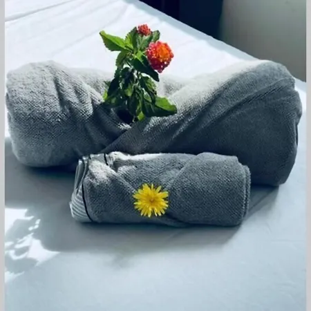 Hotel Mimose Village Badesi