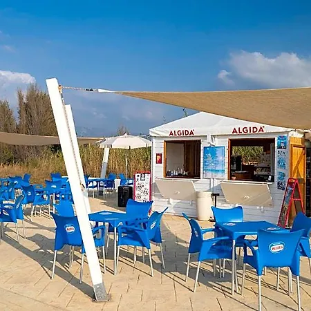 Mimose Village 4*