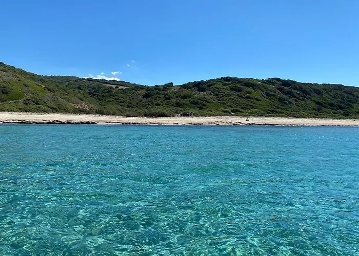 Mimose Village 4*